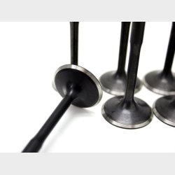 Insugnings ventil rustfri sort nitreret