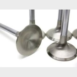 Udstdningsventil Inconel