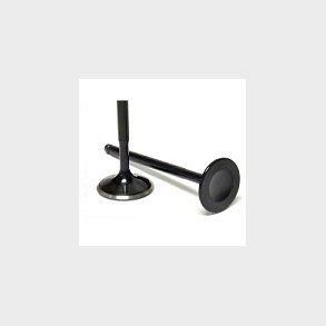 Insugnings ventil rustfri sort nitreret